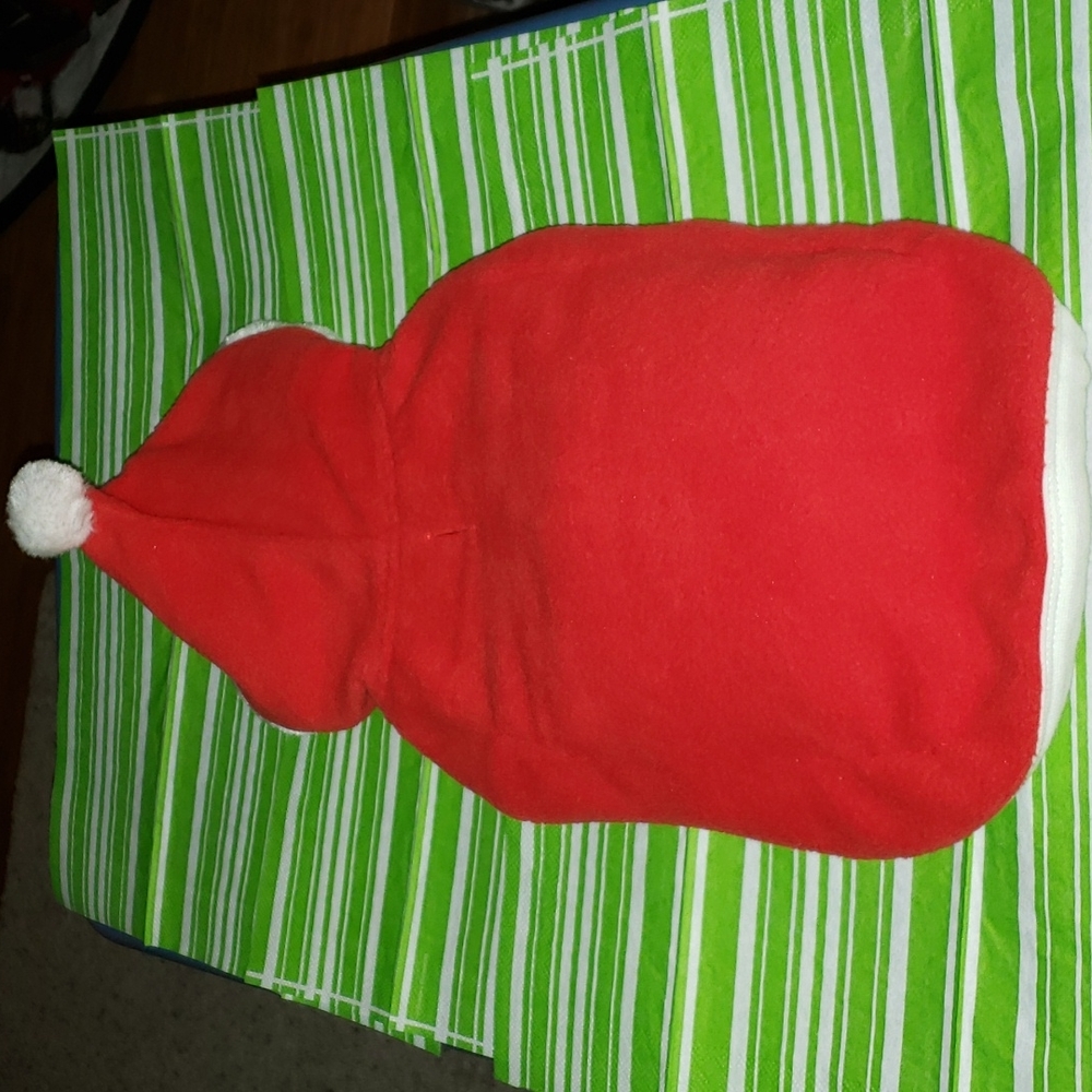 Pet Santa Outfit